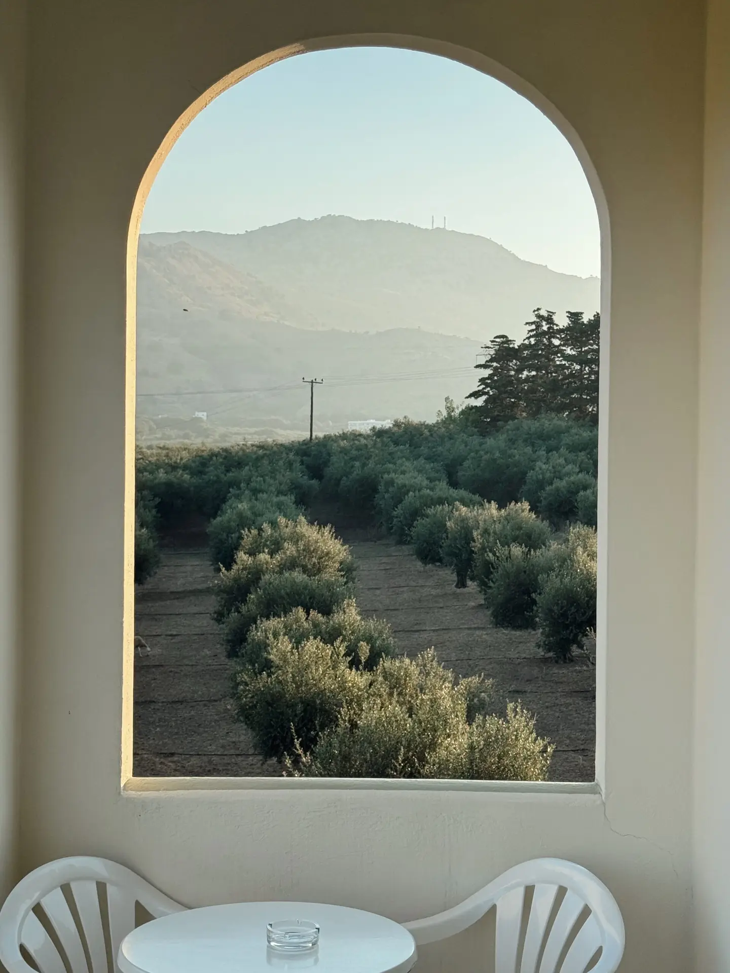 Nonos Olive Oil Grove Farm View