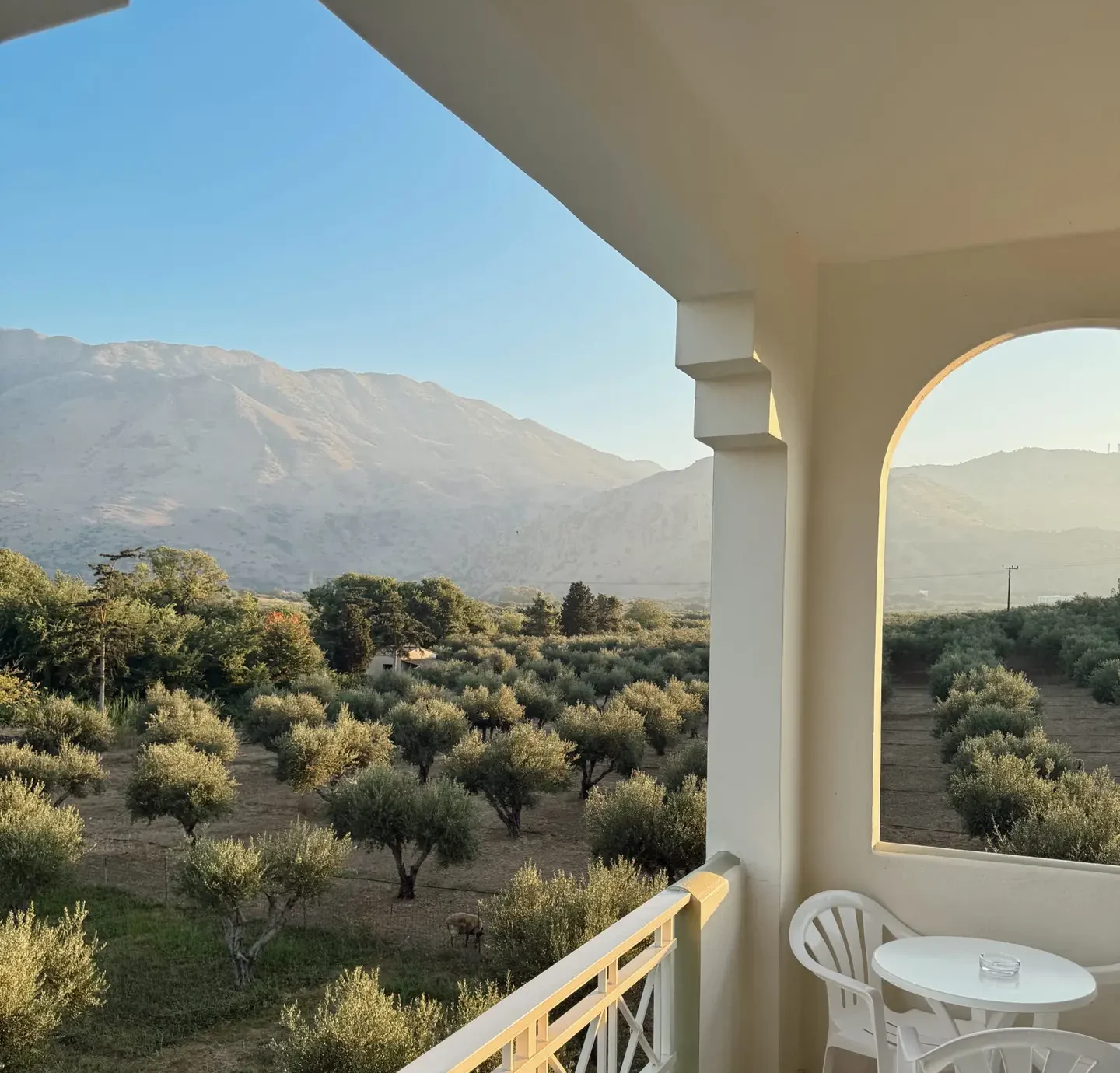 Nonos Olive Oil Grove Farm View